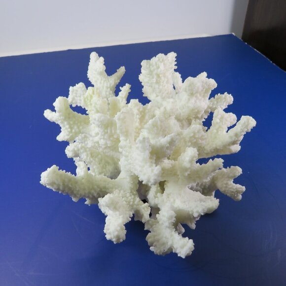 Faux Coral (very realistic) White 5" tall 9x7" wide over 1lb has a repaired arm - Picture 1 of 12